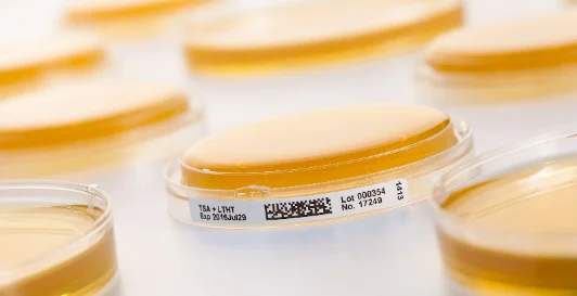 đĩa thạch đổ sẵn & swab